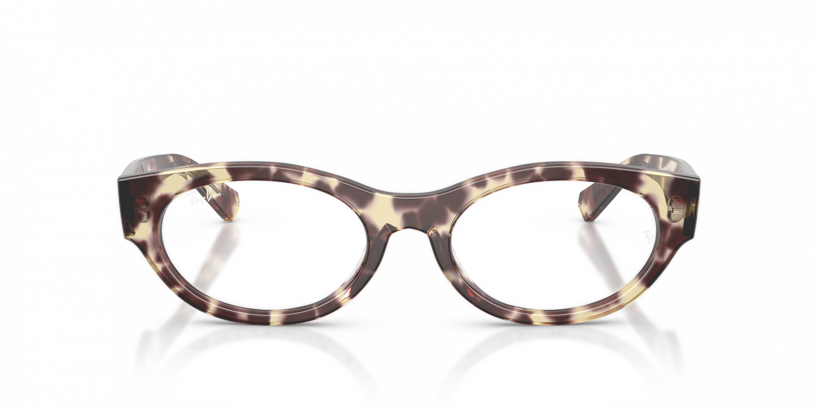 Ray Ban RX5447 8459  